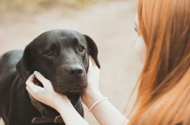 Puppy love: Picking the perfect pet