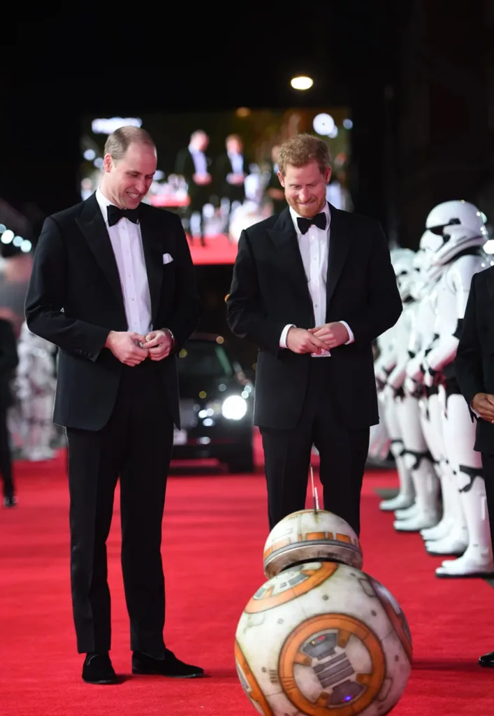 harry and william