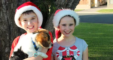 My baby is allergic to Christmas
