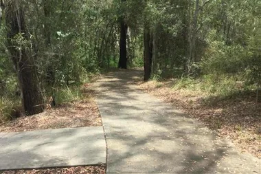 Police hunting man who attacked woman jogging through Gold Coast park