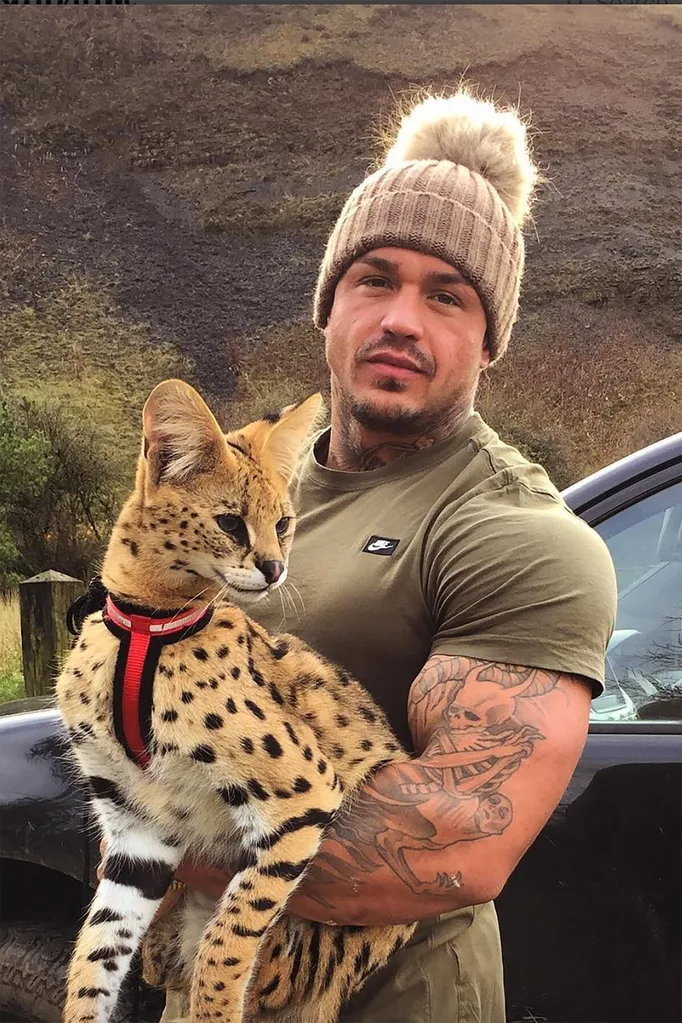 Despite the dangers, Kelly and her family are proud to share their home with an African serval