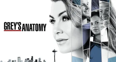 greys anatomy