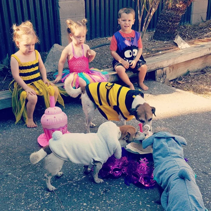 Skylar, left, Rhainer, middle, and Navaro, right, were best friends