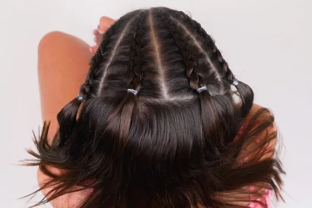 corn rows