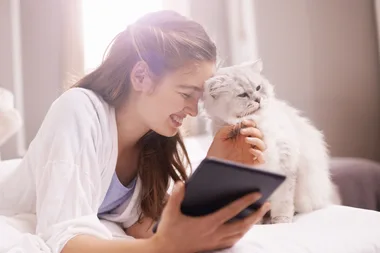 pet