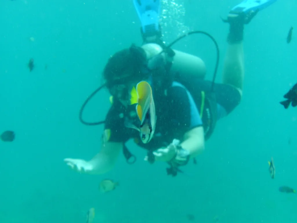 Honeymooning couple got lost at sea during dive trip