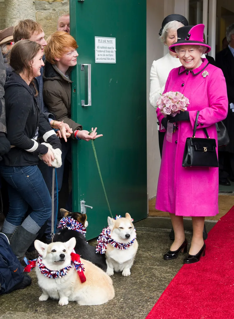 queen corgi