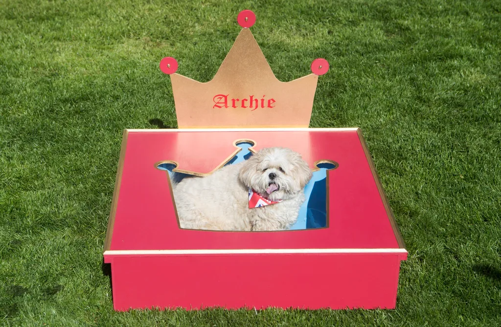 Lottery winner spends $9k on replica Windsor Castle for her DOG