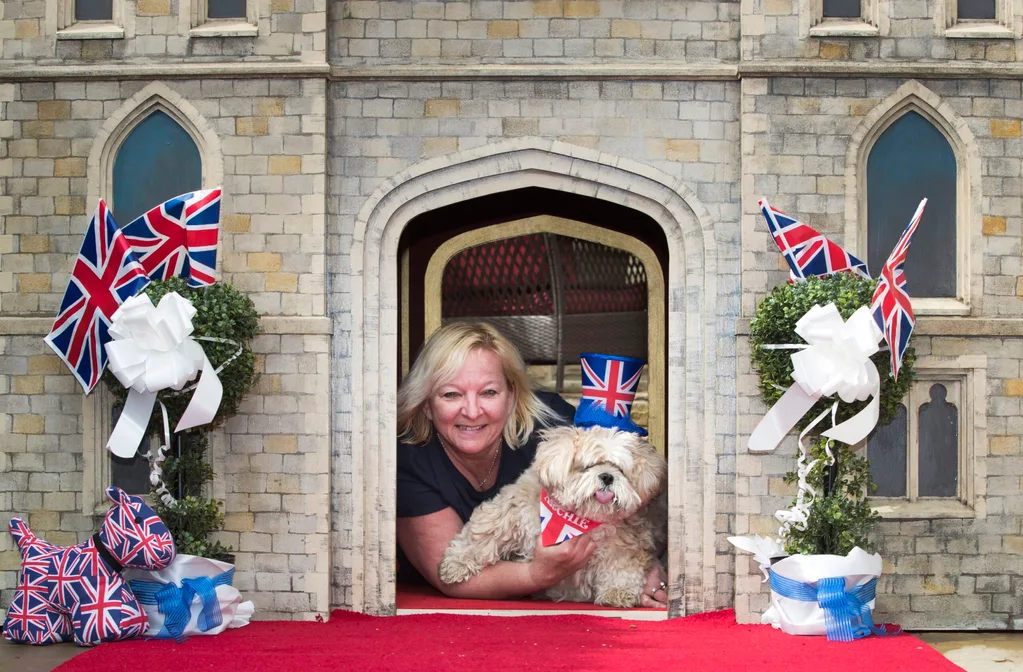 Lottery winner spends $9k on replica Windsor Castle for her DOG