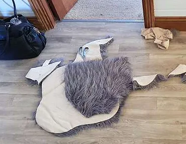 'When you put your mind on something, you can actually do it, even if it's using floor rugs as a coat,’ Shaniah wrote. 'When you want a faux fur coat but they're $100 or more in the stores/online. So you get two Kmart Gigi fur rugs and make one yourself for less than half the price. My best Kmart hack yet!!'