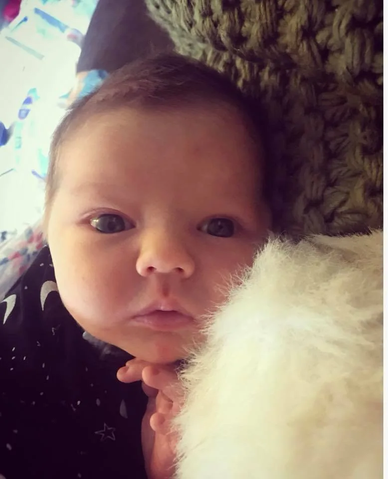 Constance Hall writes: My first week with baby Raja