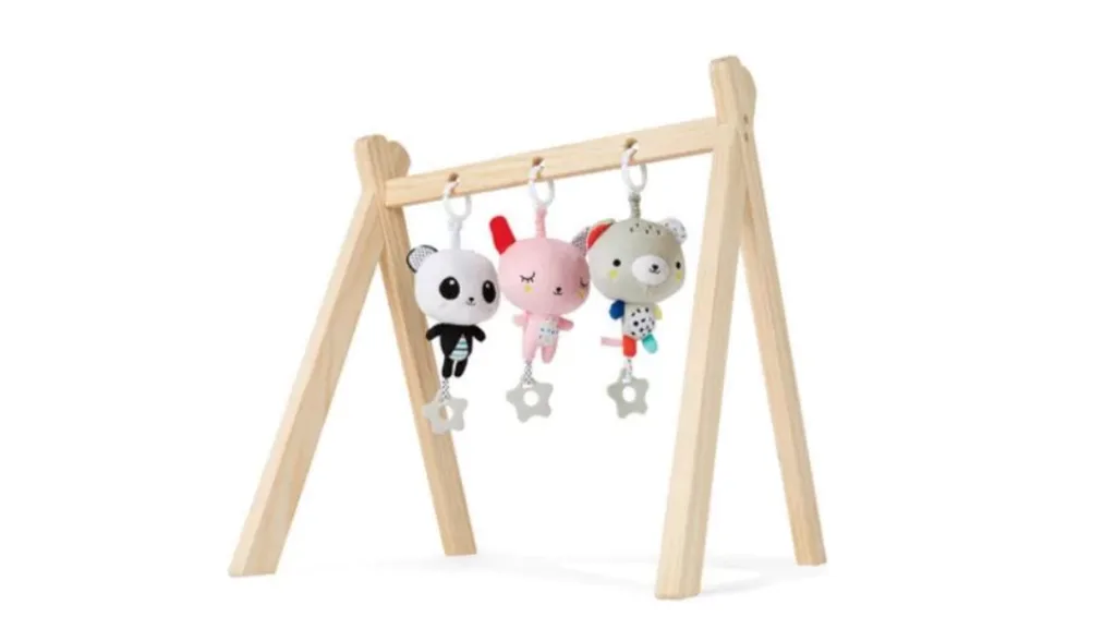 Activity gym, $17