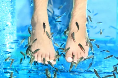 fish pedicure