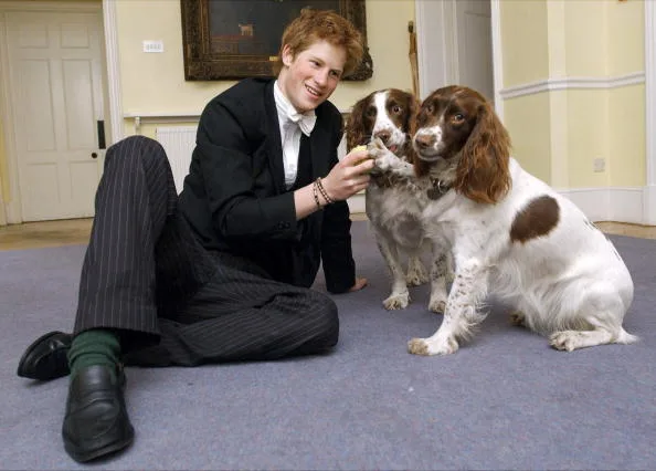 Photos of Prince Harry at Eton school surface