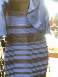 THAT dress