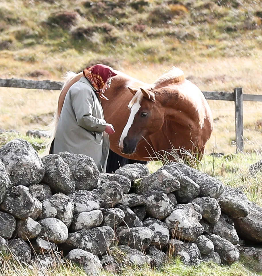 The Queen feeds horse in balmoral