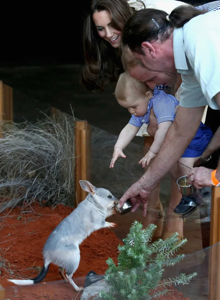The Duke and Duchess of Cambridge and Prince George meet bilby George at the zoo
