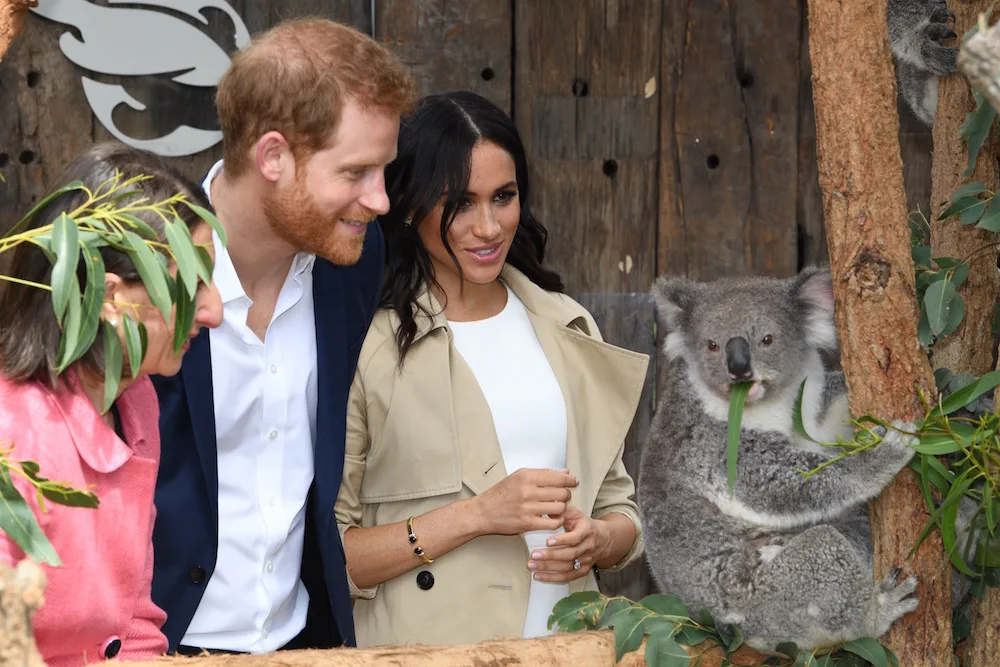 Prince harry meghan markle sydney zoo