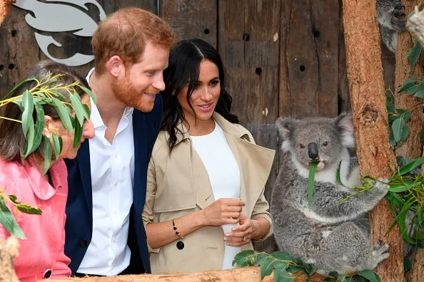 Prince Harry and Meghan Markle at Taronga zoo