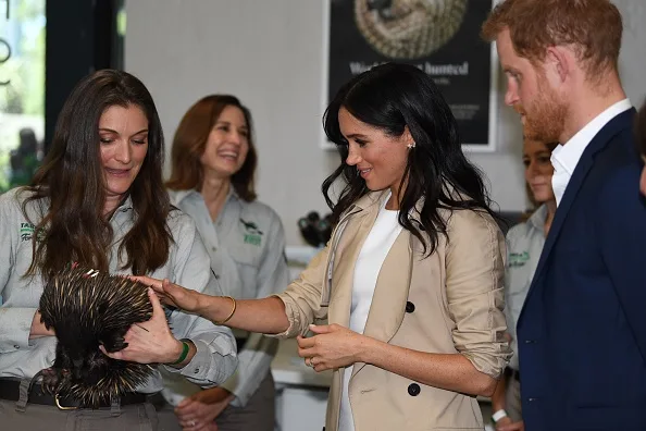 Prince harry meghan markle sydney zoo