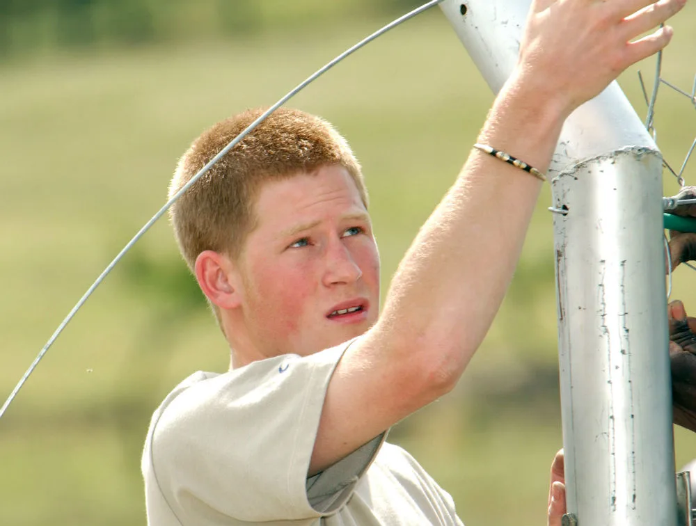 Prince Harry