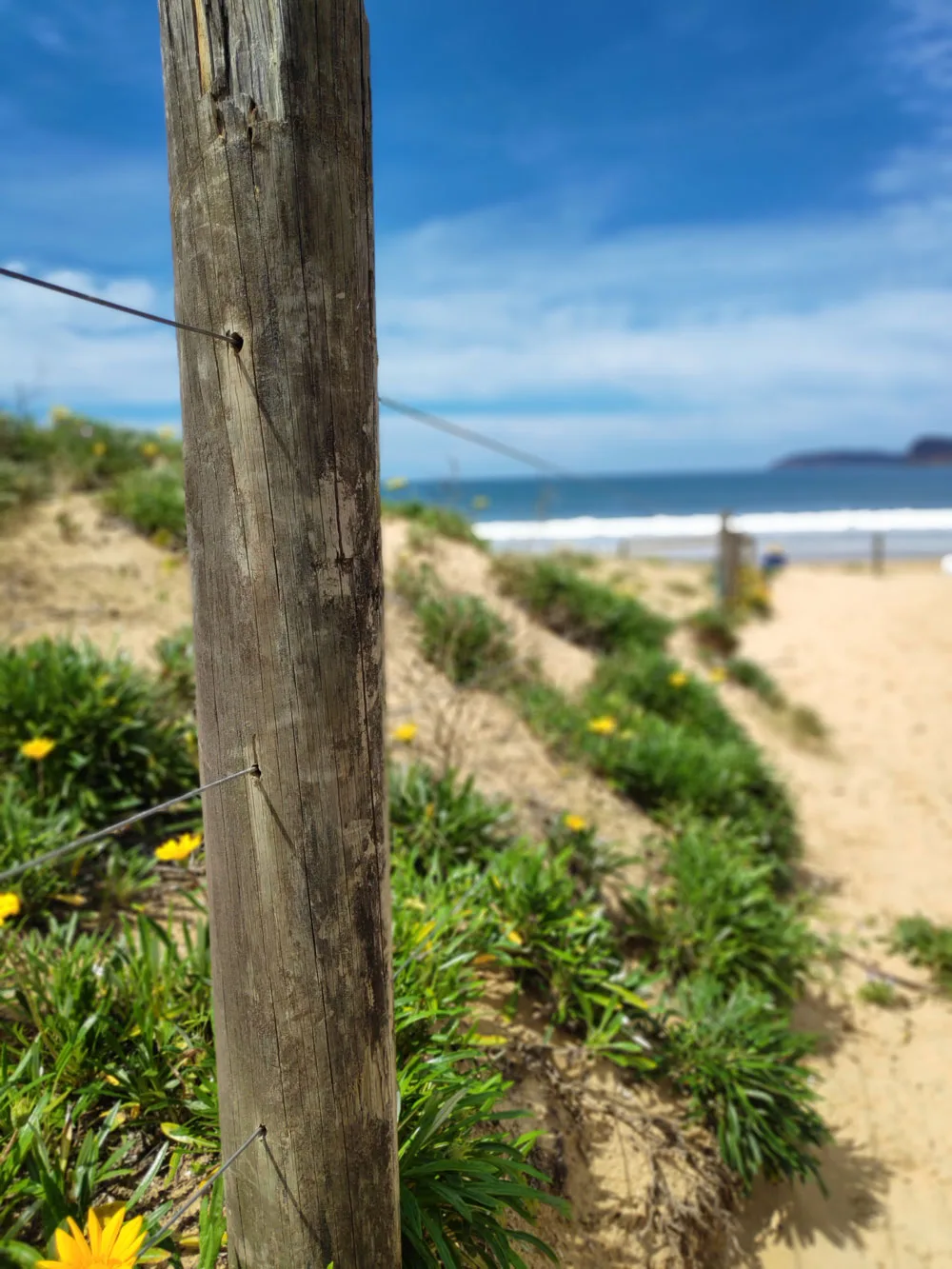 Pocophone F1 Camera Sample Beach