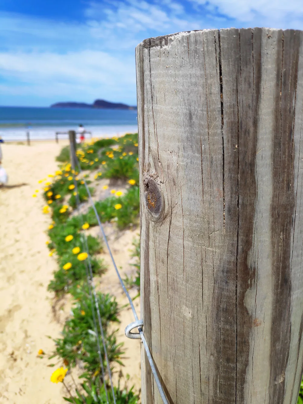 Pocophone F1 Camera Sample Beach