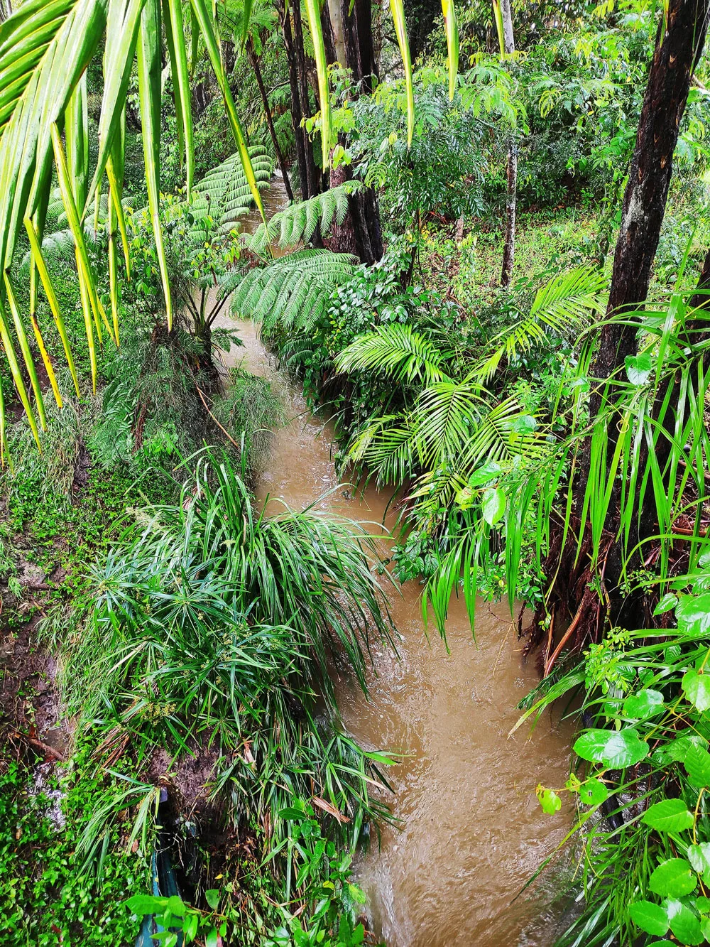 Pocophone F1 Camera Sample Beach