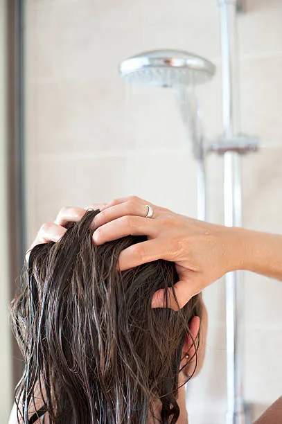Conditioner