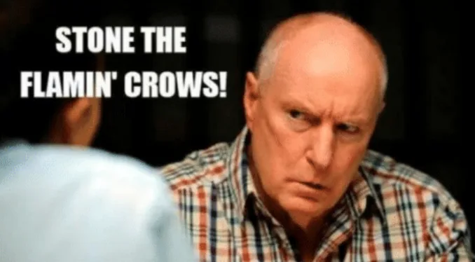 Alf Stewart Meme