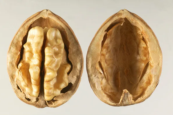 Walnuts