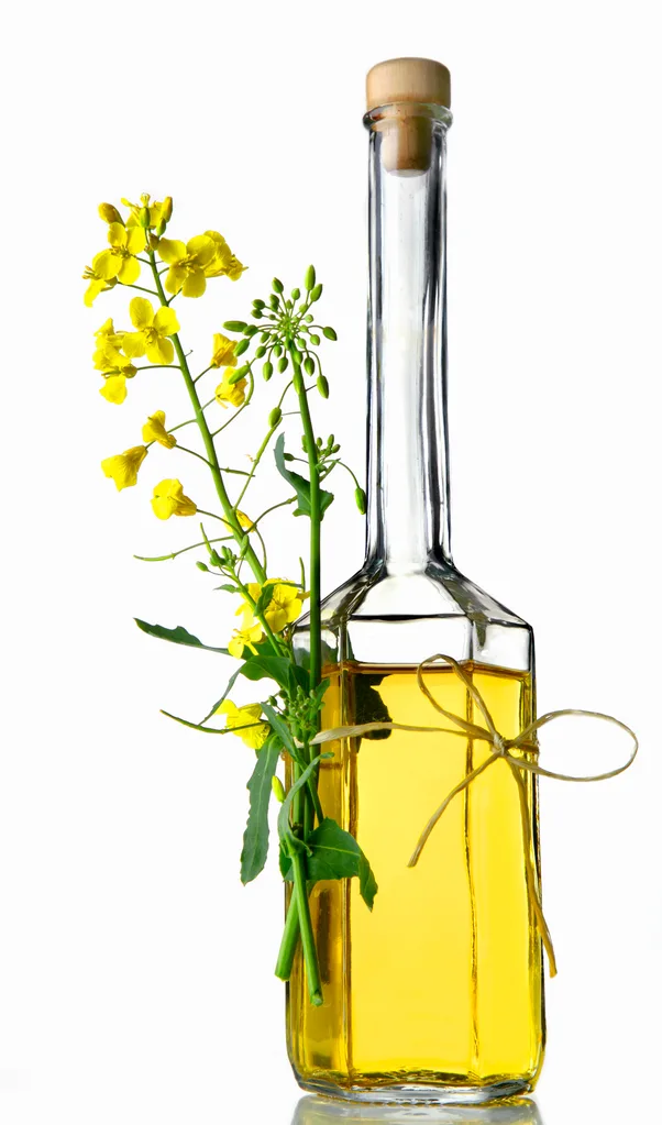 Canola oil