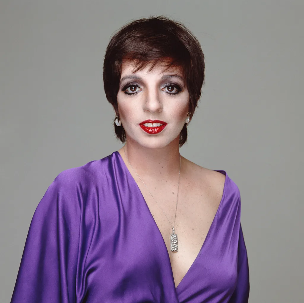 Liza Minelli in purple top