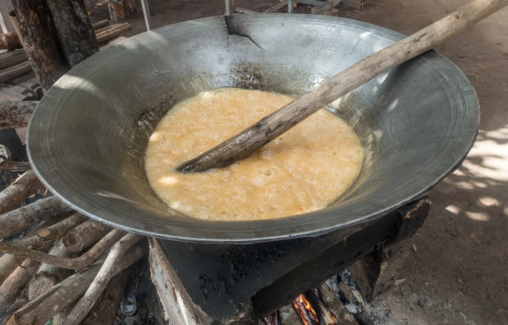 palm sugar liquid