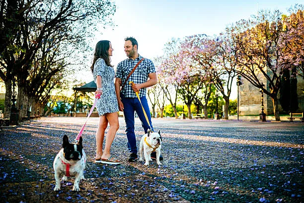 Walking dogs