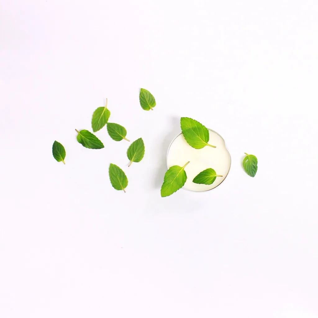 Leaves