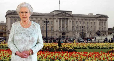 Queen advertises new job going at the Palace – so could you do it?