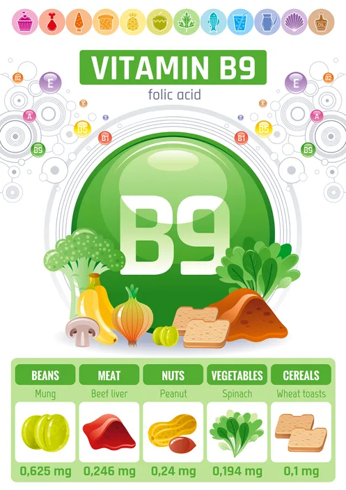 B9 Foods
