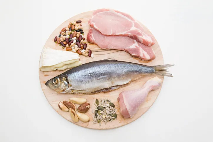 high protein food