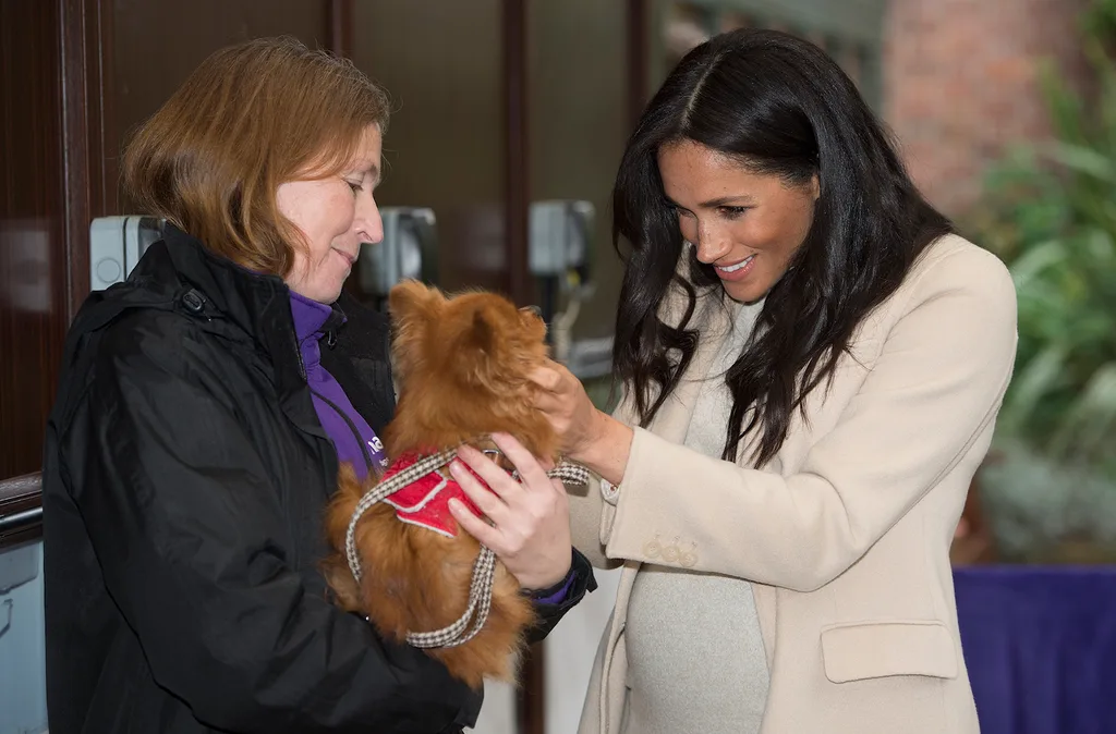 meghan markle