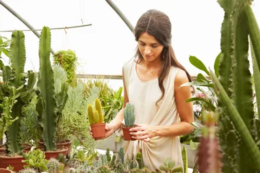 Garden tips for non-gardeners