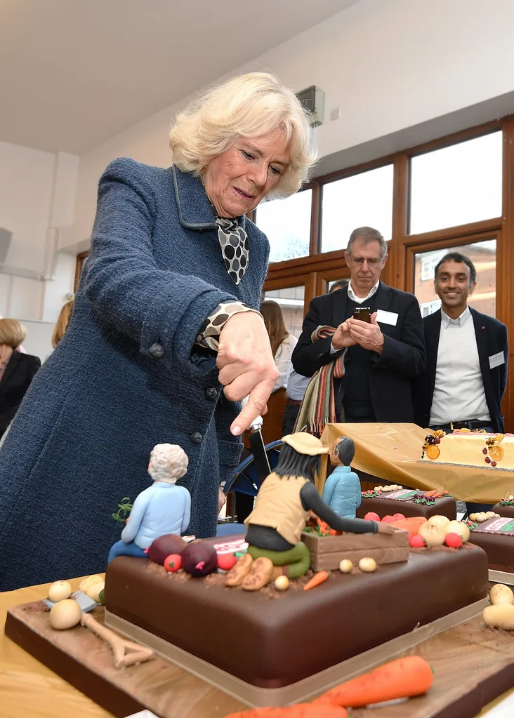 Camilla cuts celebration cake