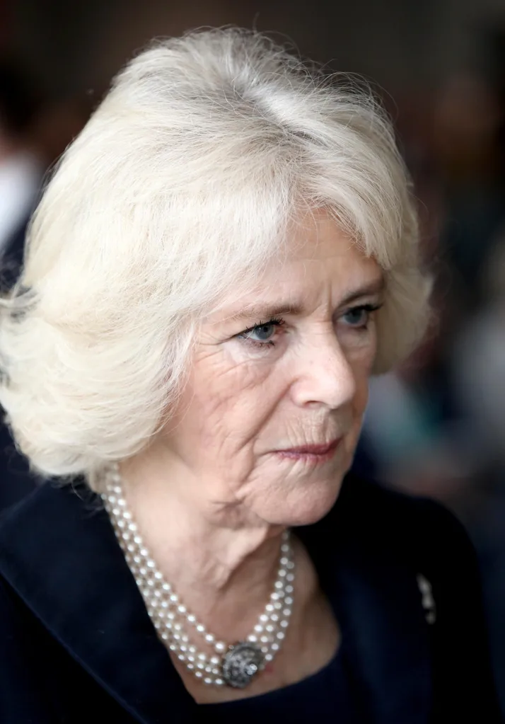 Camilla, Duchess of Cornwall, steps out in stunning black ensemble