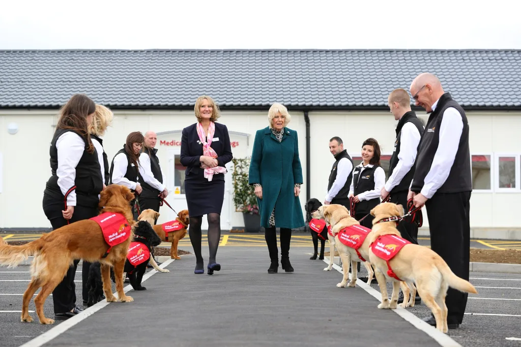Camilla with Medical Detection Dogs