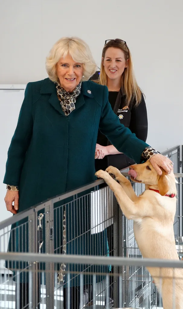 Camilla and four-legged friends