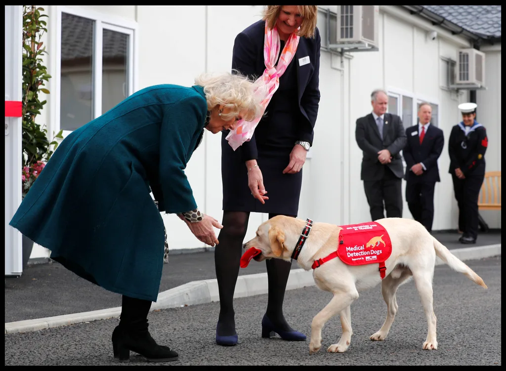 Camilla with dogs