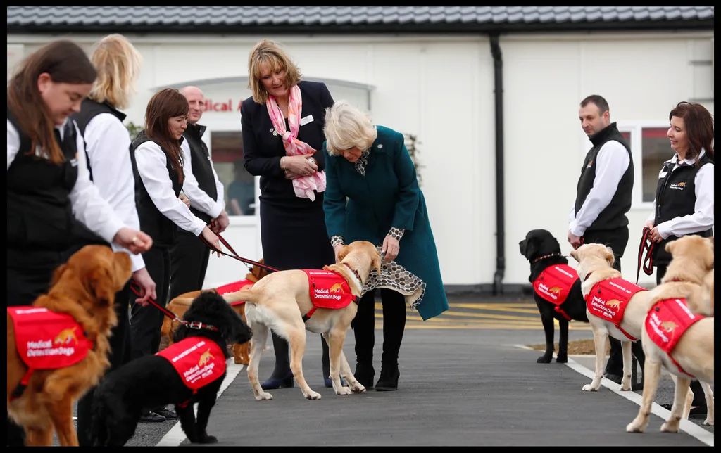 Camilla with dogs