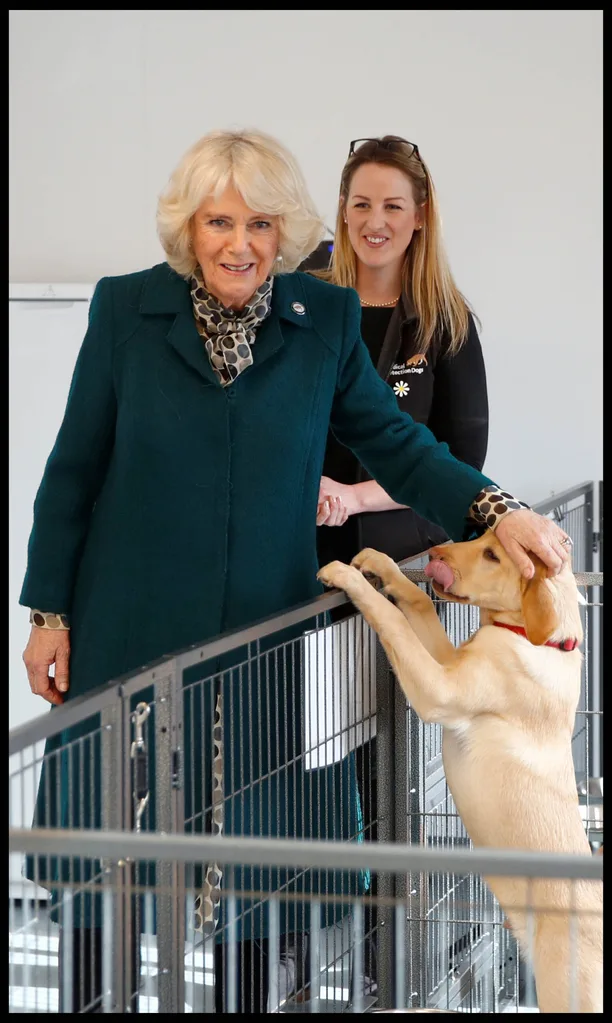 Camilla with dogs