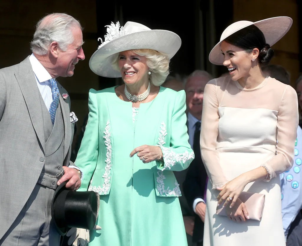 Meghan and Charles alliance