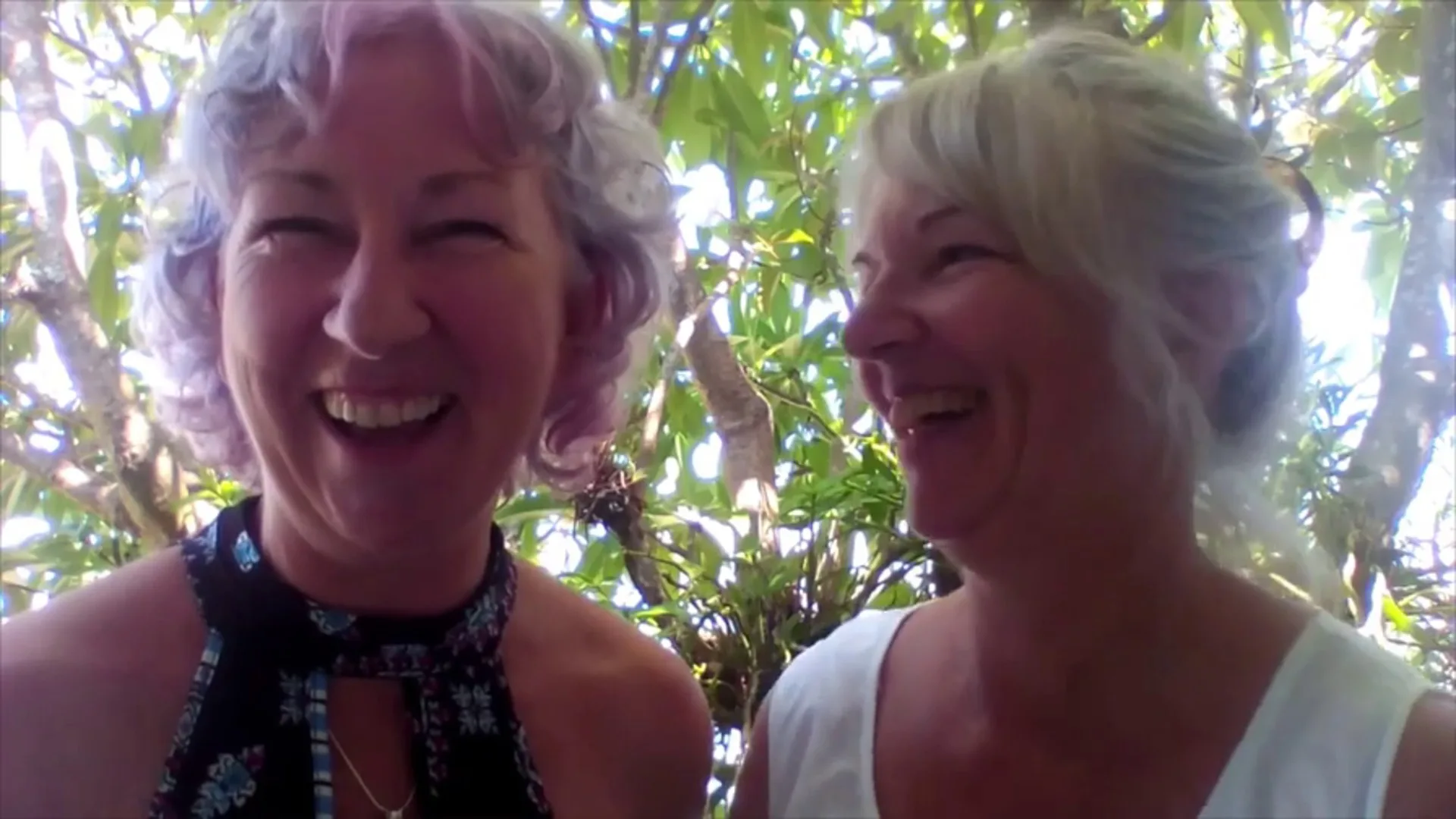 New Idea: 6WFHC Leonie and Trudi video diary week 2